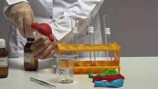 THE REACTION OF VARIOUS ALCOHOLS WITH SODIUM [upl. by Attegroeg]