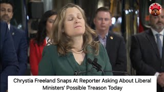 Is Chrystia Freeland Hearing Voices [upl. by Kcir350]