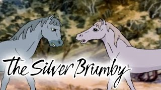 The Silver Brumby 109  Golden in Trouble HD  Full Episode [upl. by Amandy406]