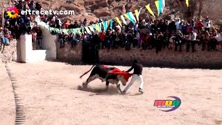 ¡Impresionante ceremonia Los MDQ con el toro de la vincha [upl. by Oruam185]