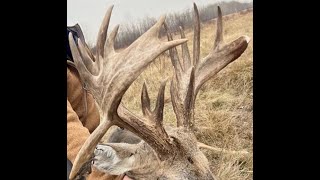 THE PERFECT SCORE deer antlers scoring canada usa [upl. by Arlynne172]