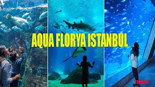 Exploring Istanbuls Aquatic Wonderland A Tour of Aqua Florya [upl. by Ainez]