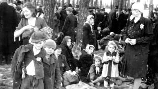 Surviving the Holocaust Segment 6 — The Gas Chambers [upl. by Seidler]