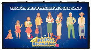 Etapas del desarrollo humano [upl. by Redep280]