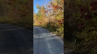 Another video of biking the northern woods 🌲🍁🍂 nature cabin lake [upl. by Almire762]