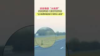 “这小狐狸娇羞的样子美得让人窒息”，游客偶遇“火狐狸”野生动物 [upl. by Mcdonald233]