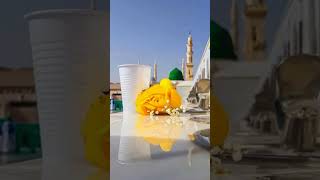 Sabr Kise Kahate Hain😍Islamicvideor2p [upl. by Fen]