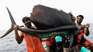 Catching Sail Fish King Fish amp Mahi Mahi Fish in the Deep Sea [upl. by Evadnee]