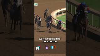 ART COLLECTORs unique Blue Grass Stakes victory [upl. by Lletnuahs491]