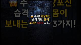 대상포진 발생 직전 전조증상 3가지 [upl. by Ahael301]