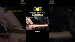 습팁📌 게 포크 없이 집에서 손쉽게 먹을 수 있는 대게 손질 방법 대방출😋  생활의 달인  SBS [upl. by Denver]