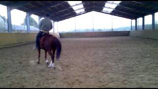 Dressage Gallop training Ben on Ginger [upl. by Rehpitsirhc]