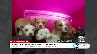 Dejo 4 cachorros afuera de ex antirrábico [upl. by Spatola]