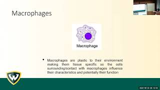 FetalMaternal Immune Interaction  Gil Mor MD PhD [upl. by Cristobal86]