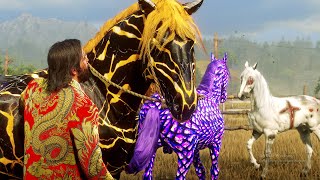 John finds a Ranch full of Vibrant and Beautiful Horses [upl. by Alvar]