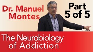 Dr Montes Neurobiology of Addiction Part 5 of 5  The Treatment Center [upl. by Eenhat]