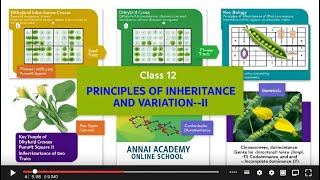 Mastering Genetics Principles of Inheritance and Variation Uncovered [upl. by Magan758]