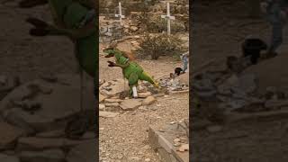 Terlingua Ghost Town Cemetery Texas [upl. by Ezar]