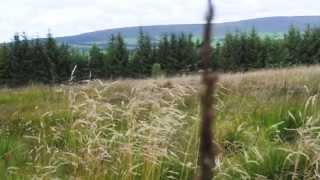 A Walk around Beacon Fell Forest of bowland Lancashire [upl. by Ecertal]