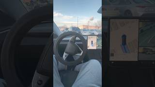 tesla automobile autopark teslamodel3 canada entertainment ytshorts shorts [upl. by Litnahc]