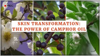 Skin Transformation The Power of Camphor Oil Discover the Wonders of Camphor Oil for Skin [upl. by Witty662]