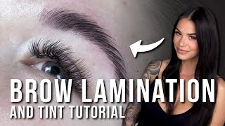 How to Do a Brow Lamination and Tint [upl. by Asilehs824]