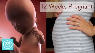 12 Weeks Pregnant What You Need To Know  Channel Mum [upl. by Trill279]