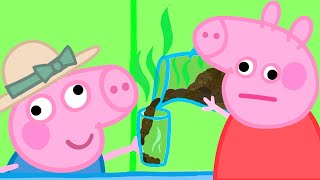 Mystery Uncovered  Peppa Pig Funny Animation [upl. by Anialad]