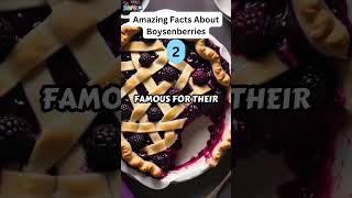 5 Amazing Facts About Boysenberries 🍇🥧 [upl. by Kath]