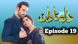 DileNadan Episode 19pakistani drama top reviews 05pakistani drama reviews harpalgeo [upl. by Alehtse]