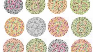 best tips for colour blind test [upl. by Ramak]