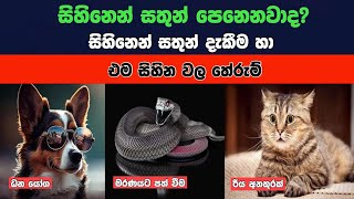 Animal Dreams Meaningසිහිනෙන් සතුන් දැකිමෙන් ඔබ අත්වන සුභ අසුබ ප්‍රතිඵල1000k DewalSinhala2024 [upl. by Naesar368]