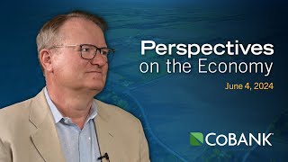 Tom Halverson Perspectives on the Economy June 4 2024 [upl. by Casavant]