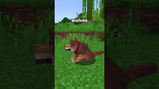 Minecraft Added NEW Dog Variants To The Game [upl. by Luna]