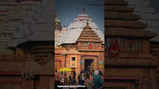 Jagannath status video ❤️Tu Jamidara Jagatara Mu Niriha Paraja Tie vairal songtrending [upl. by Rikki]