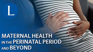 Maternal Health in the Perinatal Period and Beyond [upl. by Virgilio]