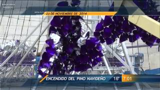 Las Noticias  Las principales noticias domingo 23 de noviembre de 2014 [upl. by Learsi]