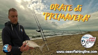 Pesca dalla spiaggia Orate di PRIMAVERA Obbiettivo Surfcasting ♡ [upl. by Airdnax]