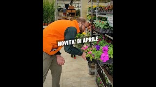 Le Novità di Aprile da Sassi Garden  Parte 1 [upl. by Casi]