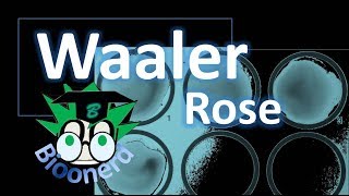 Waaler RoseFator reumatoide [upl. by Akemeuwkuhc]