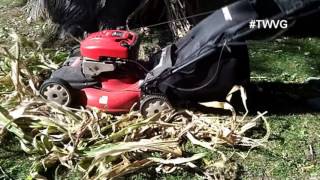 Harvesting Leeks Container Bugs and more  The Wisconsin Vegetable Gardener [upl. by Drhcir518]