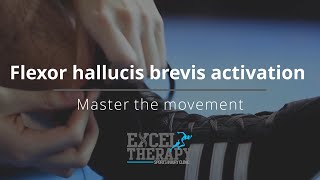 Flexor hallucis brevis activation for tendinopathy and plantar fasciitis pain [upl. by Ahsitak]