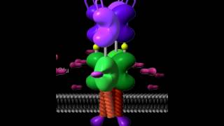 Glutamate receptor Rate My Science [upl. by Letnuhs682]