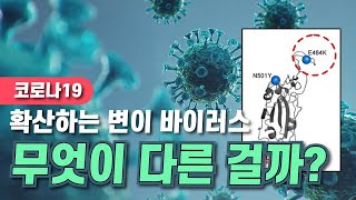 탈출 돌연변이 백신을 무력화한다 맑은 공기 숨 편한 대한민국 85회  YTN 사이언스 [upl. by Anassor]