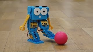 Introducing Marty  a fully programmable walking robot [upl. by Adnohsek400]