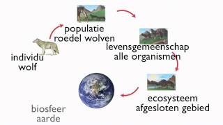 Examentraining T4 Ecologie [upl. by Peskoff]