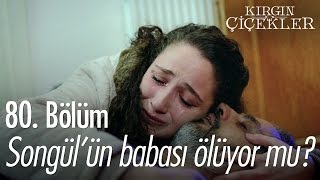 Songülün babası ölüyor mu  Kırgın Çiçekler 80 Bölüm  atv [upl. by Malvia]