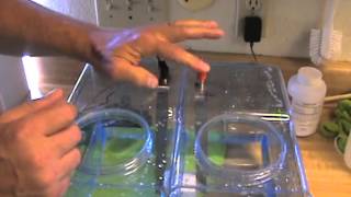 MAKE DISTILLED WATER ALKALINE  WITHOUT ELECTROLYTE  IN 15 MIN  PART 1 [upl. by Kolnos610]