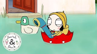 All About Different Transport  15 MINUTES  Sarah and Duck [upl. by Scriven]