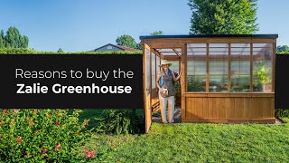 Reasons You Need the Backyard Discovery Zalie Greenhouse [upl. by Zapot582]